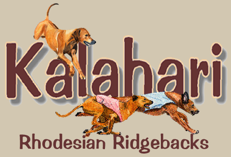 Kalahari Rhodesian Ridgebacks